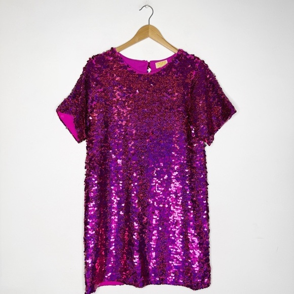 Verb Pink Sequin Short Sleeve Dress Anthropologie Size Small - Picture 3 of 12